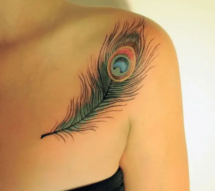 Peacock Feather Tattoos