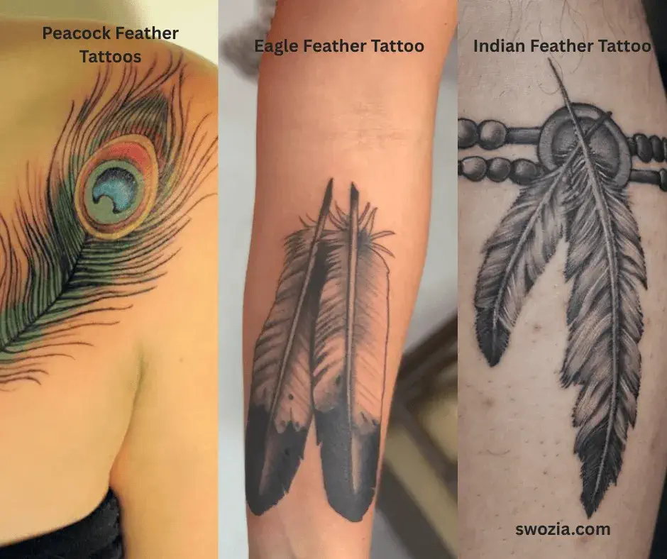 Popular Feather Types in Tattoos