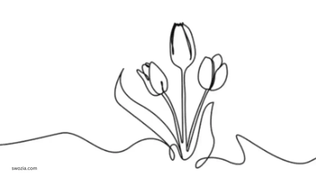 The Process and Aftercare of Fine Line Tattoos